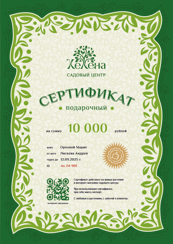 Дизайн 1