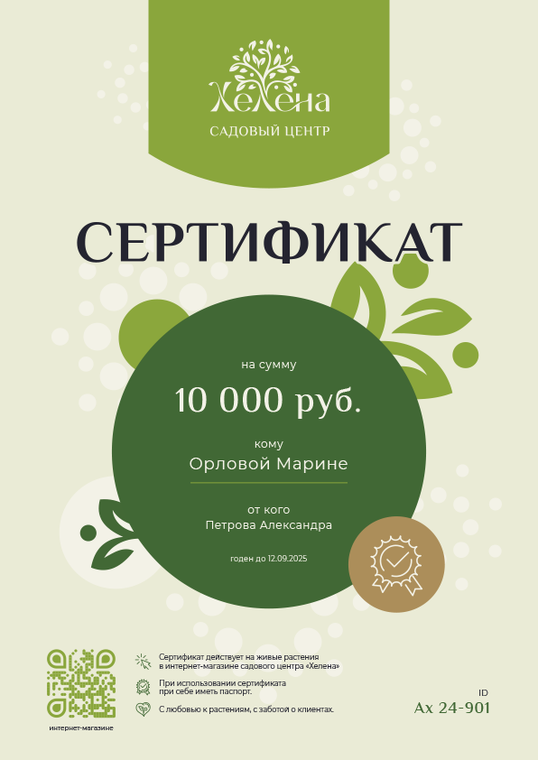Дизайн 2